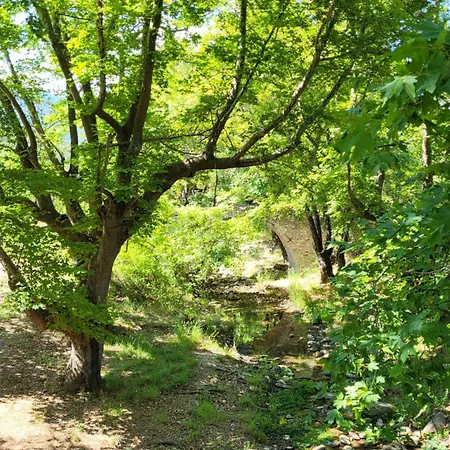 Forest House Appartamento Kavala