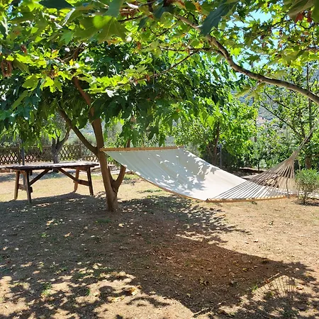 Forest House * Kavala